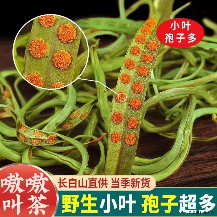 长白山化石草黄金草袍子茶嗷嗷叫泡水专用野山东北山货肾精茶泡酒