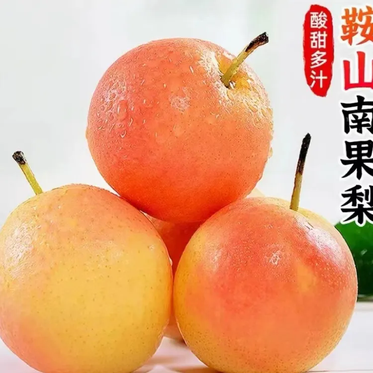 鞍山南果梨软糯记录视频香甜冰糖皮薄多汁东北特产水果正宗梨子