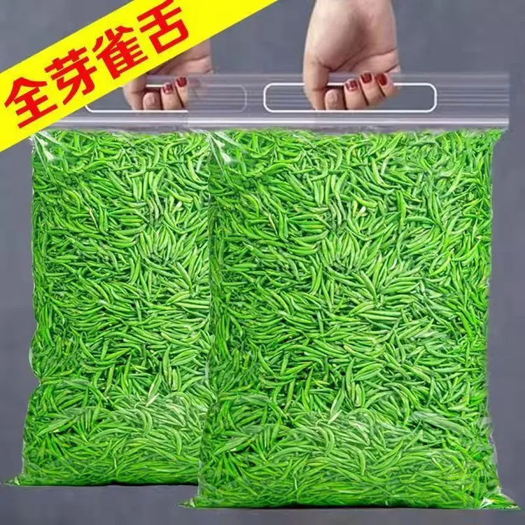 绿茶茶叶采摘2025湄潭新茶正宗明前特级浓香型高山云雾毛尖茶批发