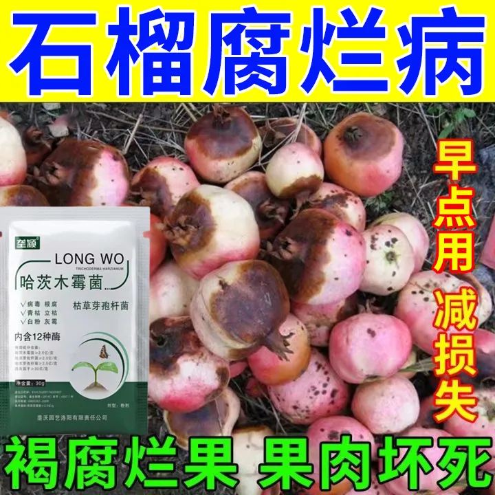 石榴腐烂病专用肥料石榴树病害清石榴烂果落果干腐炭疽病抗病增产