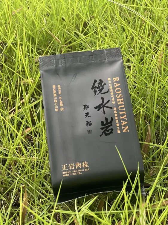 绕水岩【正岩肉桂】武夷岩茶