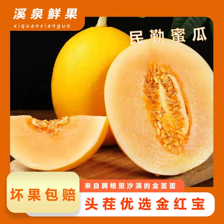【沙漠里的金蛋蛋】民勤沙漠蜜瓜正宗金红宝净重8-9斤特大果2-3个