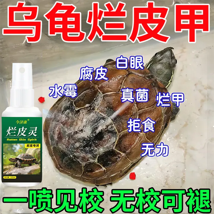 乌龟腐甲专用腐皮烂甲疥疮外伤软甲缓解龟壳白斑草龟巴西龟喷雾