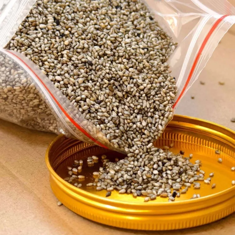 汕尾海丰手炒熟芝麻海陆丰即食本地油麻咸茶擂茶配料菜茶必备