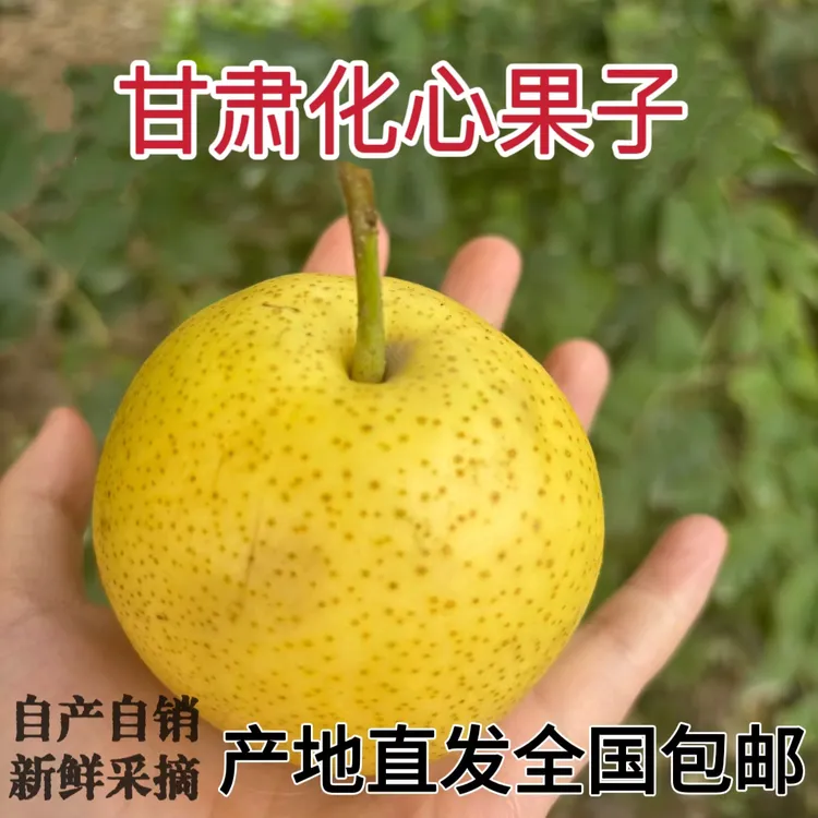 兰州黄软儿梨甘肃特产冻梨软梨香水梨化心梨新鲜采摘（非冻果）