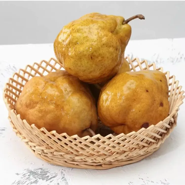 山东中华丑梨当季新鲜水果软糯多汁香甜可口