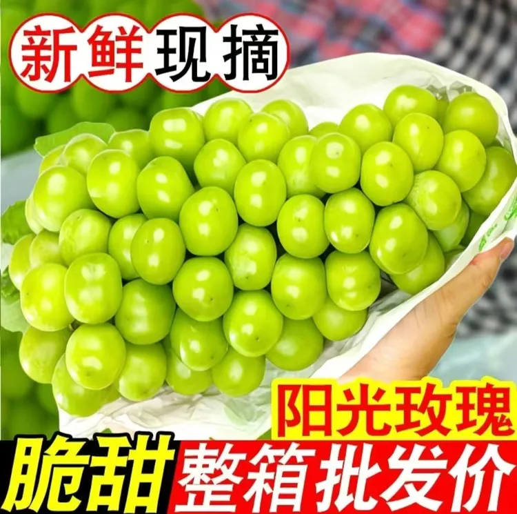 阳光玫瑰葡萄新鲜当季应季无籽整箱发货