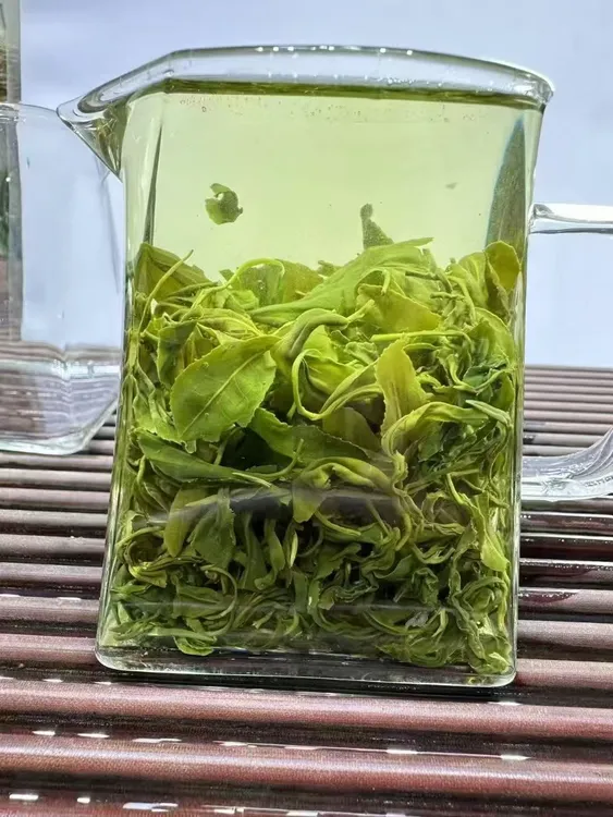 日照绿茶新茶浓香豆香口感醇厚浓郁无添加剂手工茶耐泡500克味足