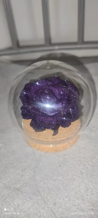 晶体玫瑰玫瑰花球型玻璃罩保存盒纪念品生日礼物直径十厘米