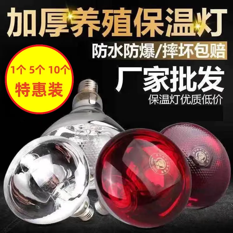 养殖场专用取暖灯猪用防水防爆红外线保温灯泡小鸡仔猪保温灯泡