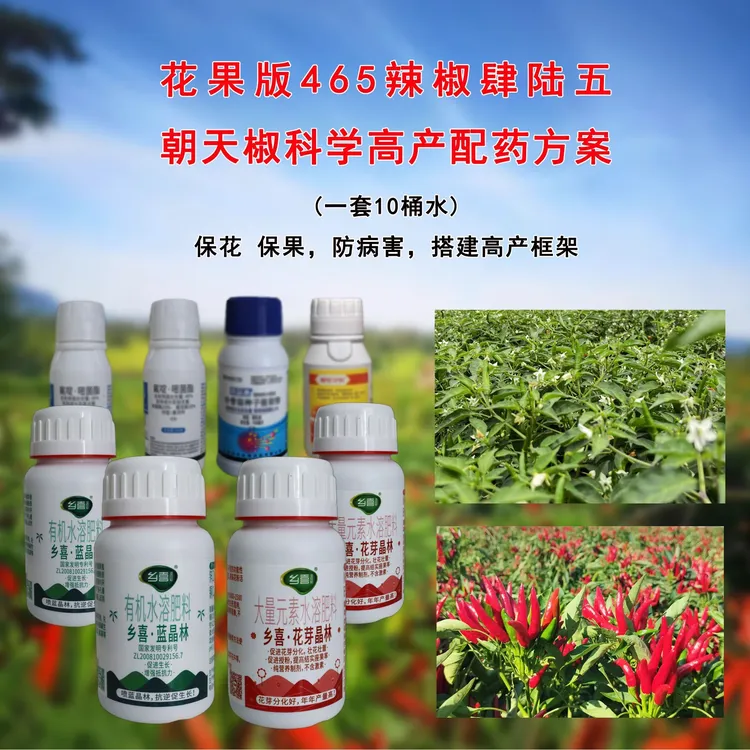 辣椒465高产健苗方案（一套10亩地）