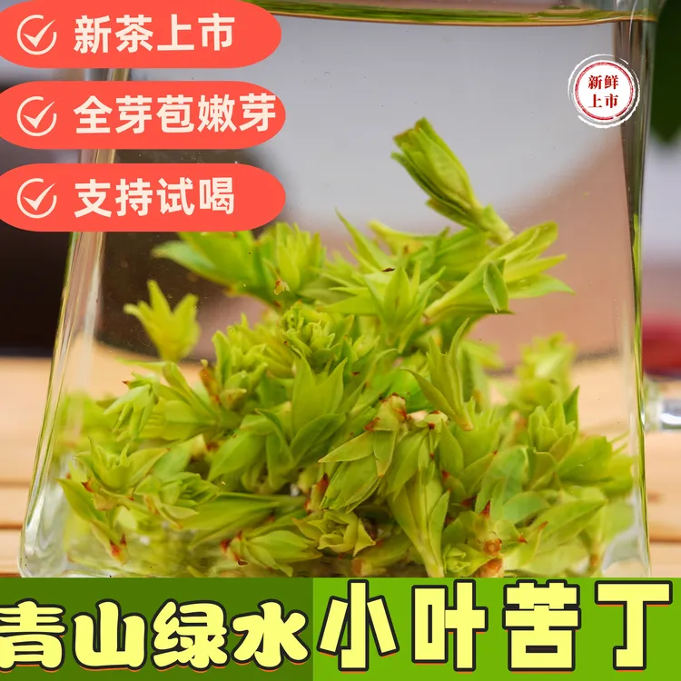 小叶苦丁茶2025新茶 高山绿茶嫩芽春茶茶叶 新茶绿茶清香苦丁茶