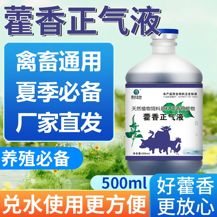 豪迈生物藿香正气液夏季养殖户常备养殖猪牛羊鸡鸭鹅厂家直销