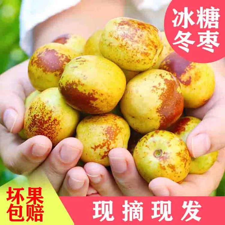 【果园现摘】天然冰糖冬枣脆甜新鲜水果鲜枣大枣脆枣青枣包邮