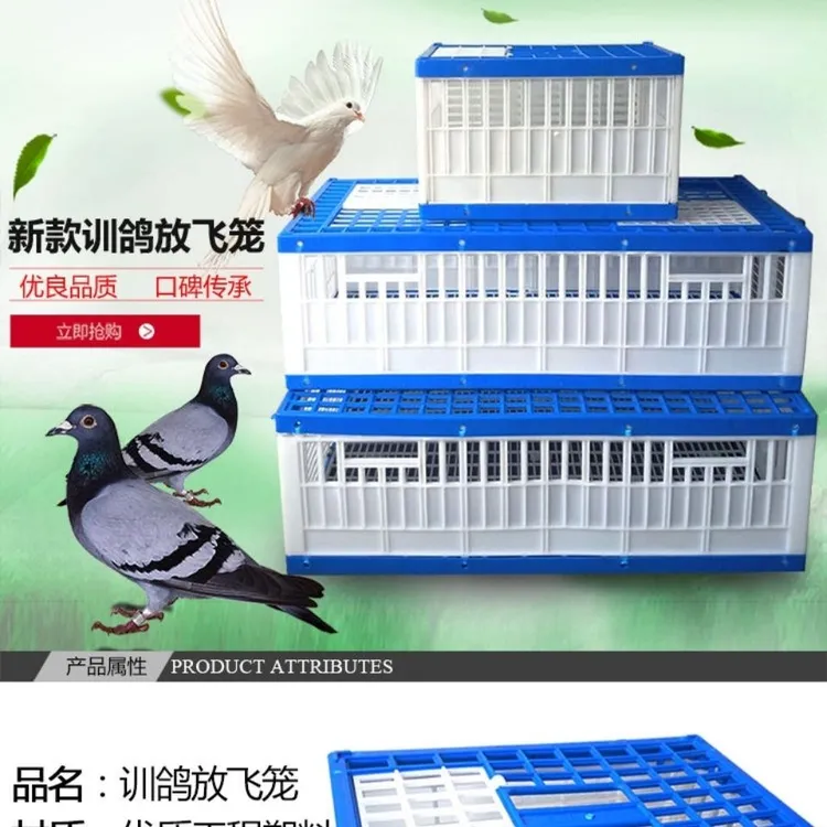 信赛鸽用品用具鸽子笼塑料放飞笼训放笼报道笼集鸽笼训鸽笼包邮