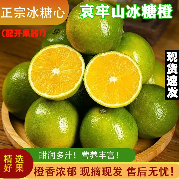 正宗云南哀牢山老树金黄冰糖橙现摘现发皮薄多汁（送开果器）清甜