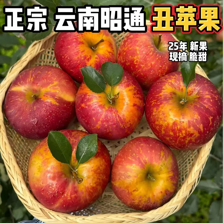 正宗云南昭通冰糖心丑苹果产地直发脆甜5/9斤礼盒2025现摘丑苹果