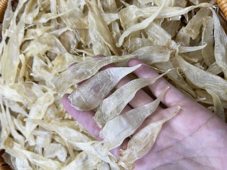 广东汕头南澳 鱼胶 花胶 鱼鳔豆仁胶100g-500g