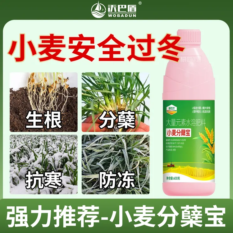 耕四方小麦分蘖宝小麦专用肥小麦促分蘖生根壮苗肥抗寒抗倒伏肥料