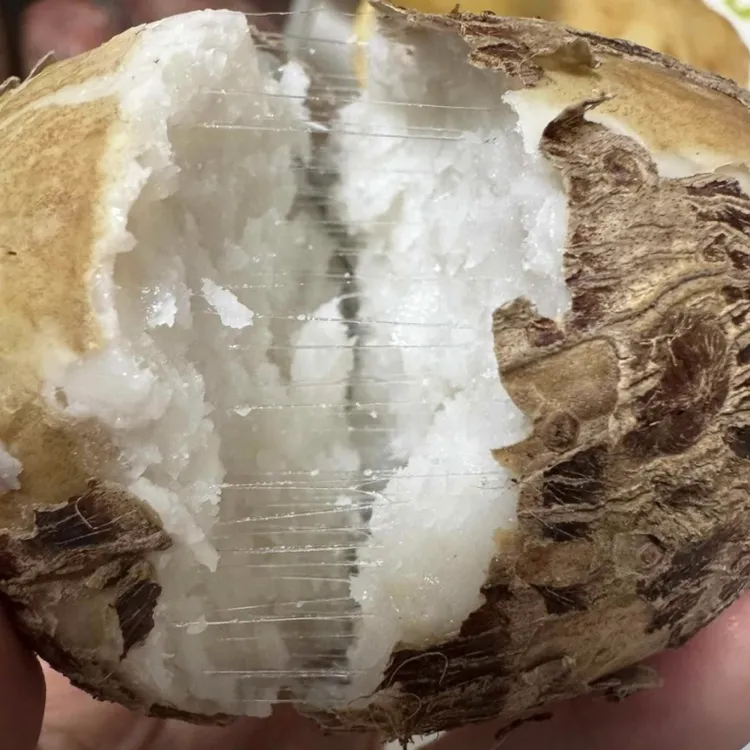 爆山东牛奶毛芋头软糯香甜当季现挖白心蔬菜沂山土特产直销农家