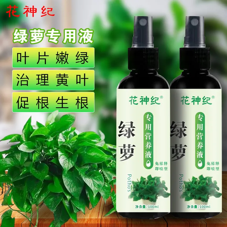 绿萝专用营养液叶面喷施免稀免稀释绿萝通用肥料家用花卉盆栽肥