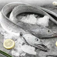 舟山带鱼新鲜东海野生刀鱼 肉质鲜嫩可口 可蒸可红烧5-7两/条
