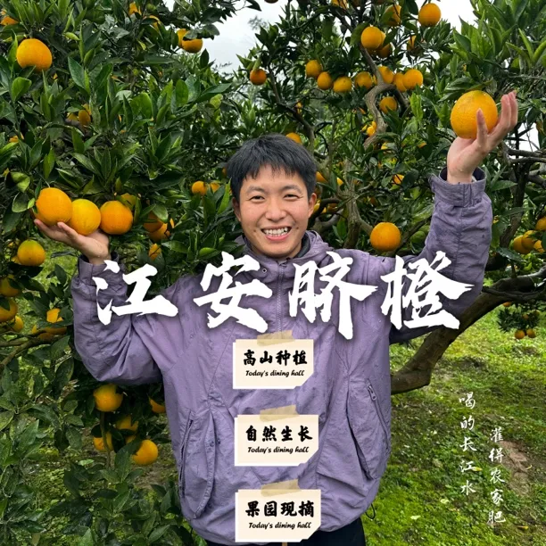 【普通款】四川宜宾江安新鲜现摘香甜多汁老树无核橙正宗江安脐橙