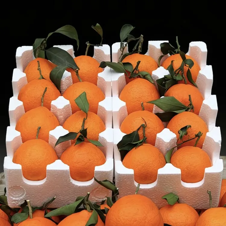 【助农】爱媛38号果冻橙四川眉山产区新鲜应季水果产地爱媛果冻橙