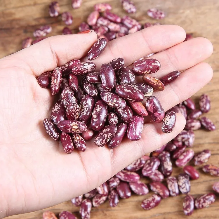 贵州酸菜豆米新花豆云豆四季豆营养饱满新货