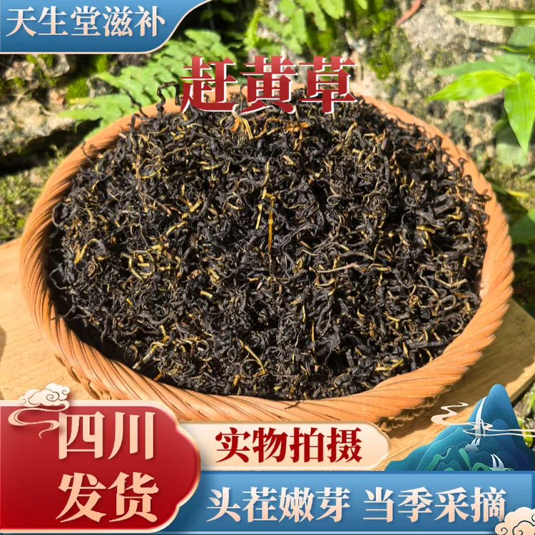 【正品四川直发】四川古蔺当季赶黄草茶头茬干货无硫泡水喝配决明子