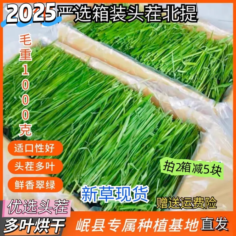 25年《新草头茬》箱装烘干北提草兔子荷兰猪提摩西草提摩西草