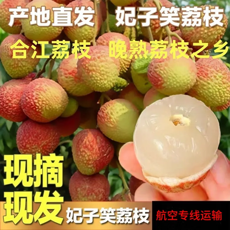 合江晚熟妃子笑荔枝当季新鲜水果产地直发采摘整箱现货专线包邮