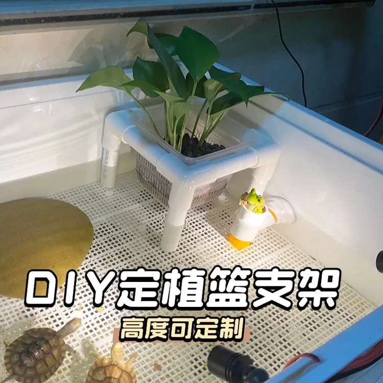 鱼缸水培植物篮支架水植物定植篮鱼缸造景装饰水草种植杯挺定制