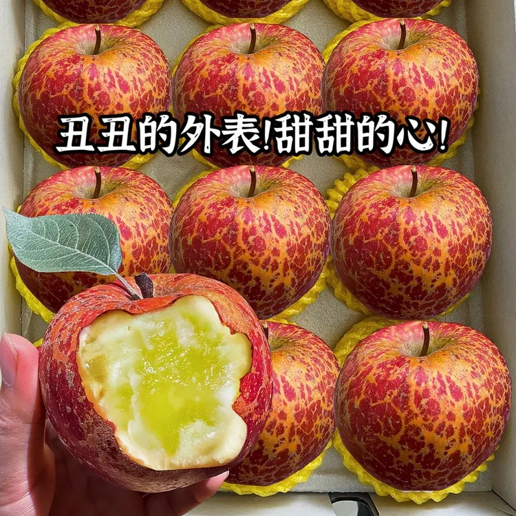当季正宗云南昭通冰糖心丑苹果新鲜水果产地现摘现发脆甜多汁10斤