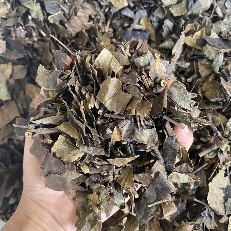 消焱大王包邮土特产正宗云南山货煮水泡水自然消炎大王草药正品