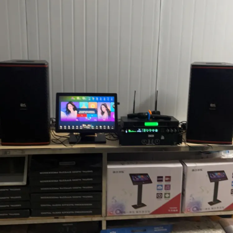 德国DS家庭KTV套装卡拉ok