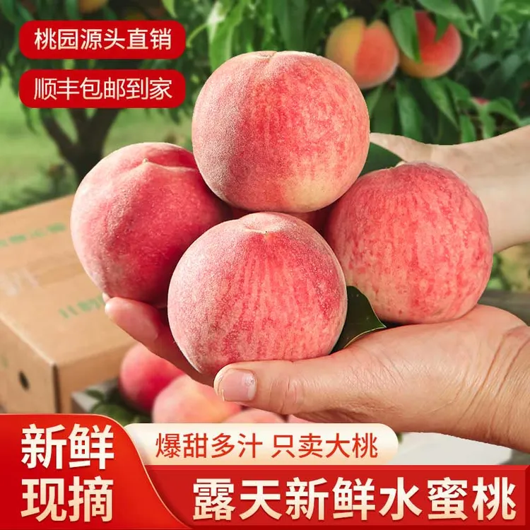 【顺丰包邮】正宗水蜜桃脆甜多汁应季水果宝宝老人脆软两吃源头直发