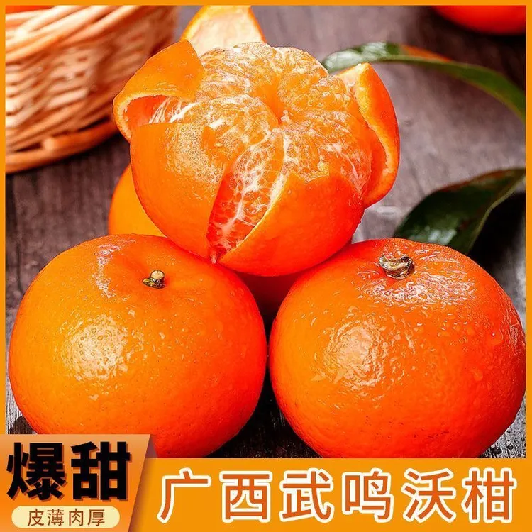 广西武鸣沃柑当季水果新鲜现摘爆甜多汁产地直发