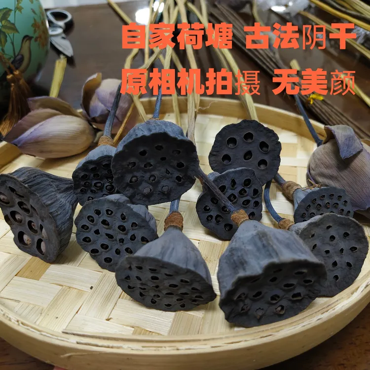 主播推荐自家荷塘自然阴干中古/诧寂/禅意风10支真杆莲蓬