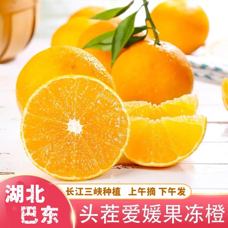 湖北巴东爱媛38号果冻橙江边应季橙子榨汁香甜皮薄