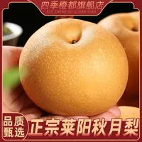【京东/顺丰】正宗山东莱西秋月梨 净重4.5斤装/礼盒装D