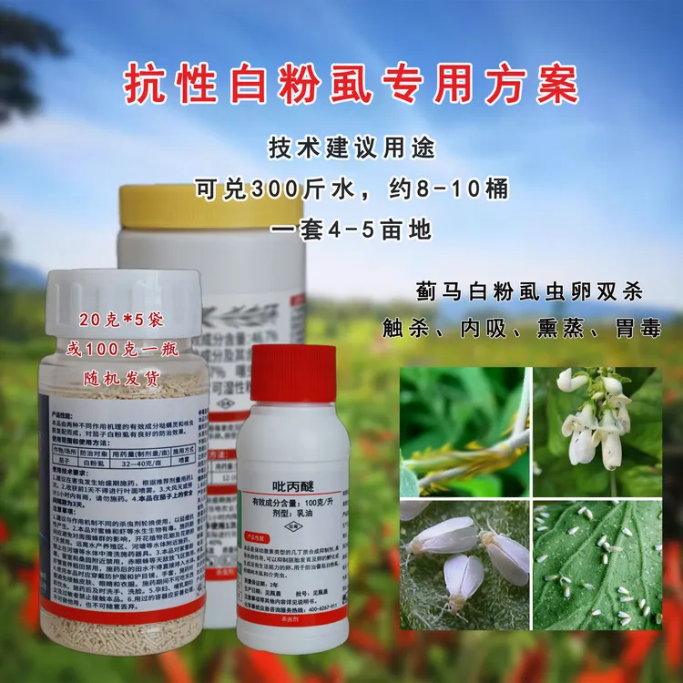 卡KA小白 辣椒白飞虱白粉虱专用组合（一套10桶水）技术建议用途