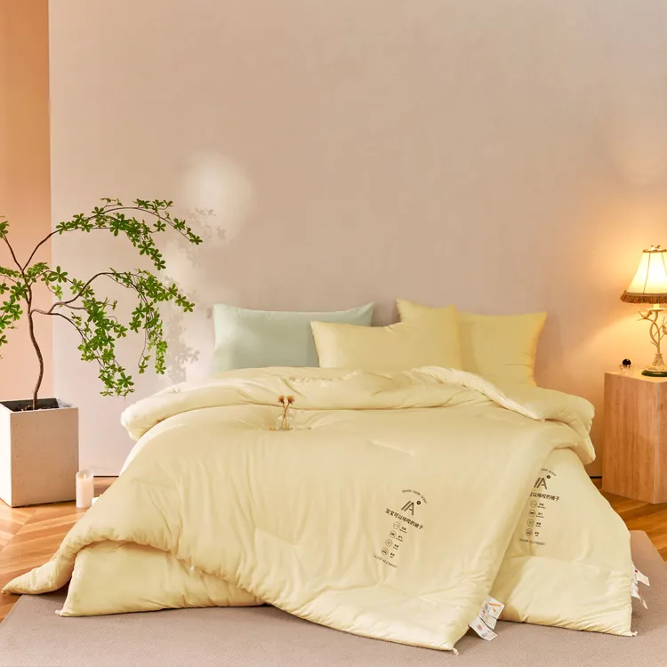 孙大漂亮【贼轻。贼暖。贼糯】保暖亲肤啃咬咬被子被芯 商品图