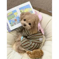 新款秋冬装宠物四脚衣服可爱加厚小狗泰迪比熊博美雪纳瑞