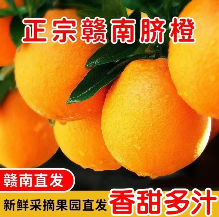 正宗江西赣南脐橙当季新鲜水果鲜嫩多汁产地直发