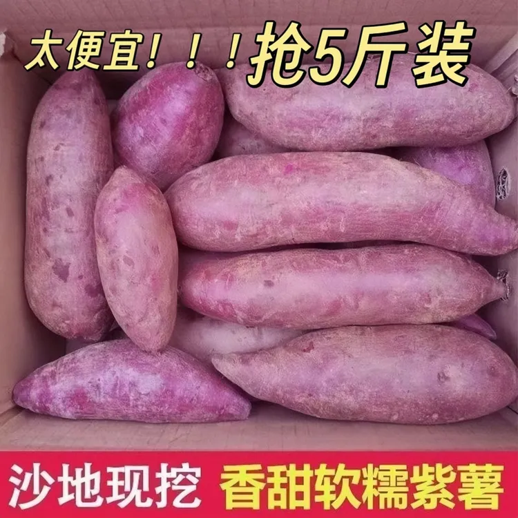 新鲜紫薯紫罗兰香甜板栗地瓜番薯正宗红薯紫心蔬菜蜜薯批发商用