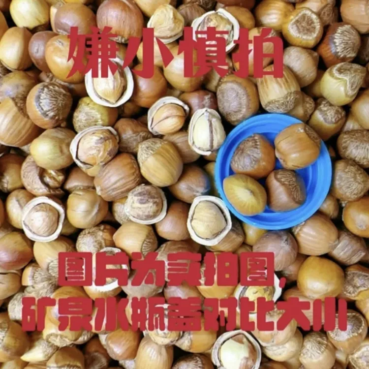 东北野生榛子小颗粒【个头偏小 嫌小勿拍】