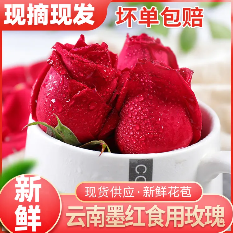 双11可食用玫瑰花新鲜墨红玫瑰鲜花云南泡醋专用泡酒花苞玫瑰醋