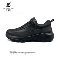 千宝龙墨-男鞋新款休闲鞋A17-18910（1号）