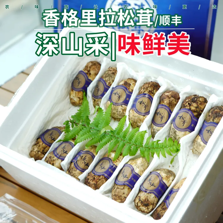 农味族2025年云南香格里拉野生松茸官方旗舰店新鲜野生菌顺丰特级